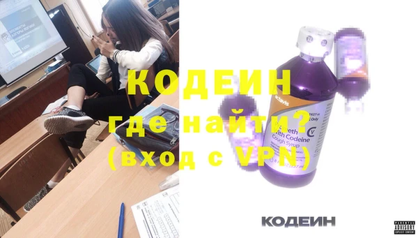 сатива Бородино