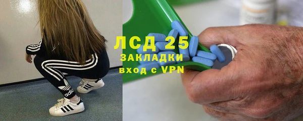 мдпв Верея