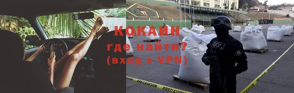 сатива Бородино