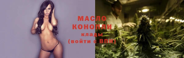 сатива Бородино