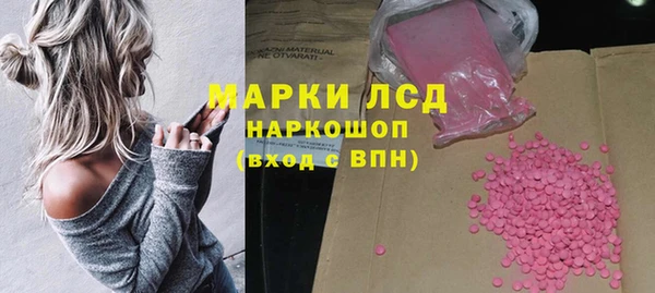 прущие грибы Бугульма