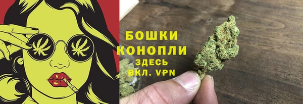 сатива Бородино