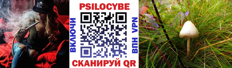 Галлюциногенные грибы Psilocybe  Купить закладки  Кстово 